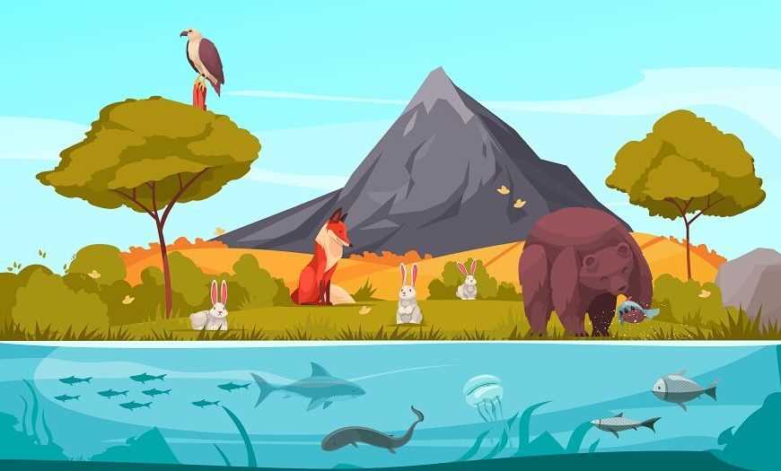 enviromental science chapter 5 how ecosystems work answer key