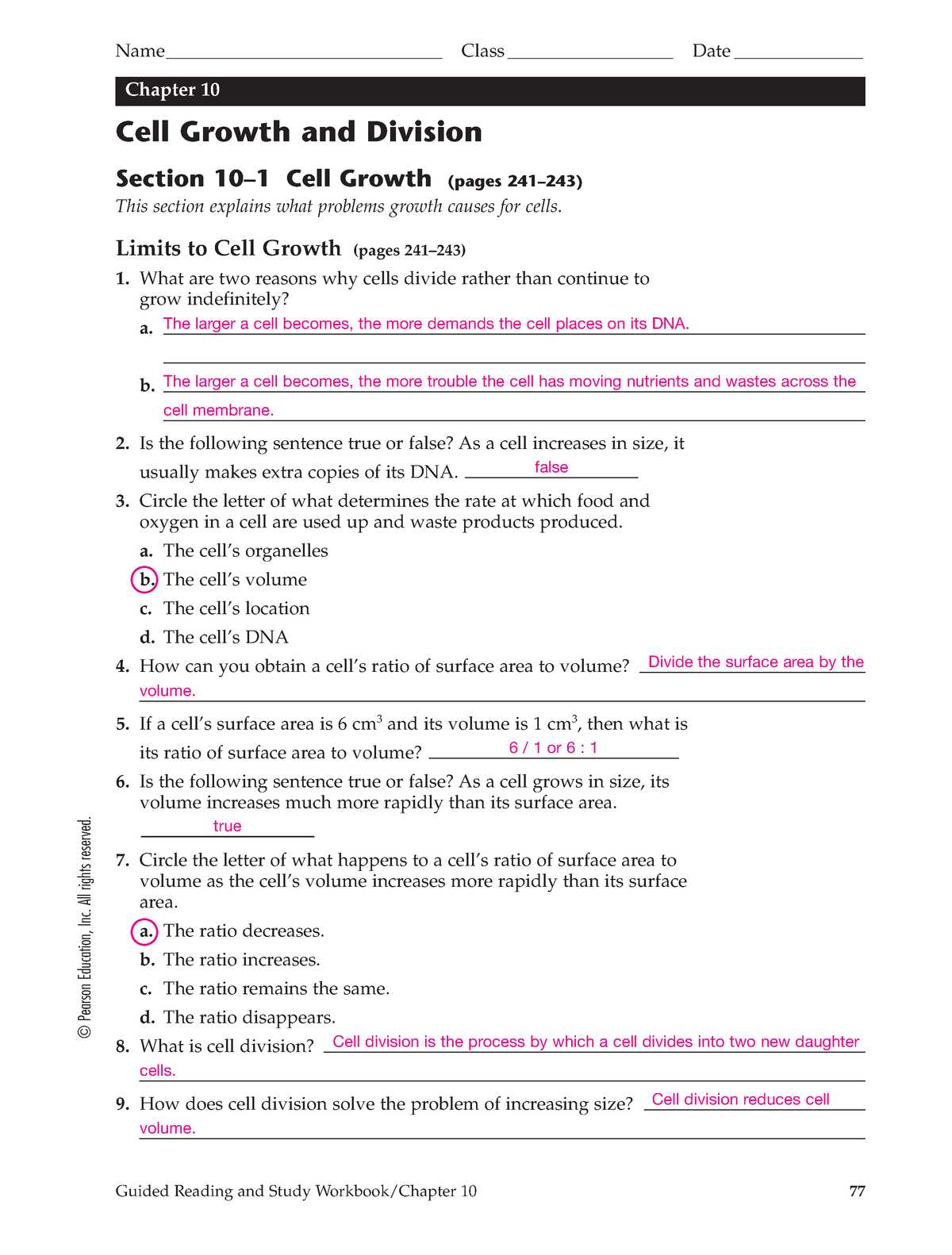 cell reproduction review packet answer key