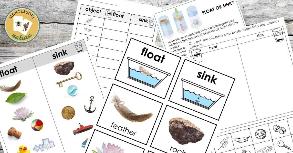 exploring floating and sinking answer key