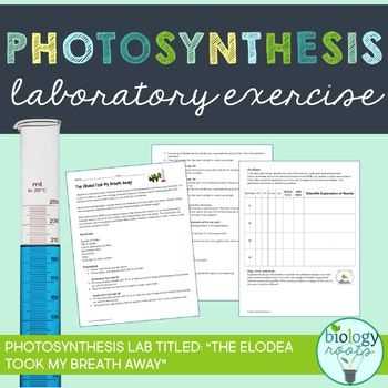 photosynthesis virtual lab answer key