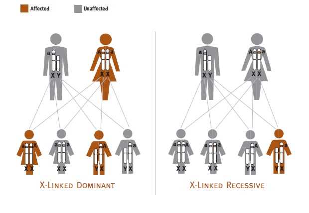 genetic mutations and disorders answer key genetic mutations and disorders answer key
