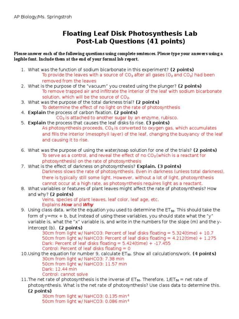 photosynthesis study guide answer key