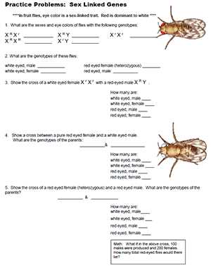 practice problems sex linked genes answer key