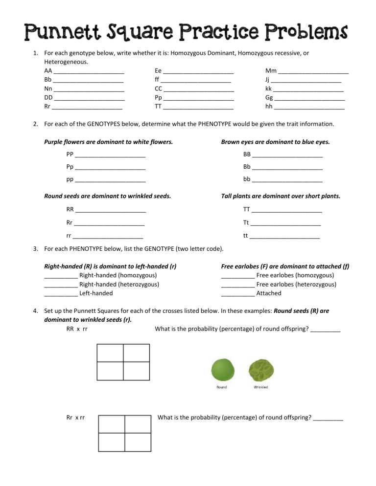 genotype practice worksheet answer key