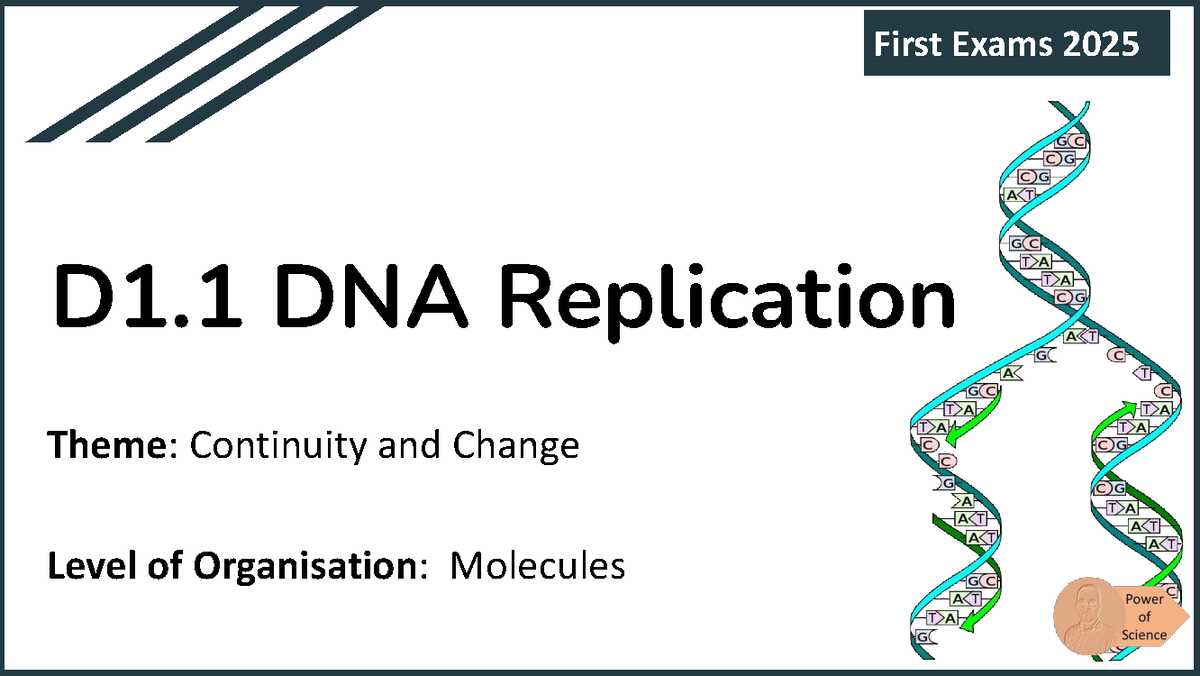 dna and replication ppt questions answer key