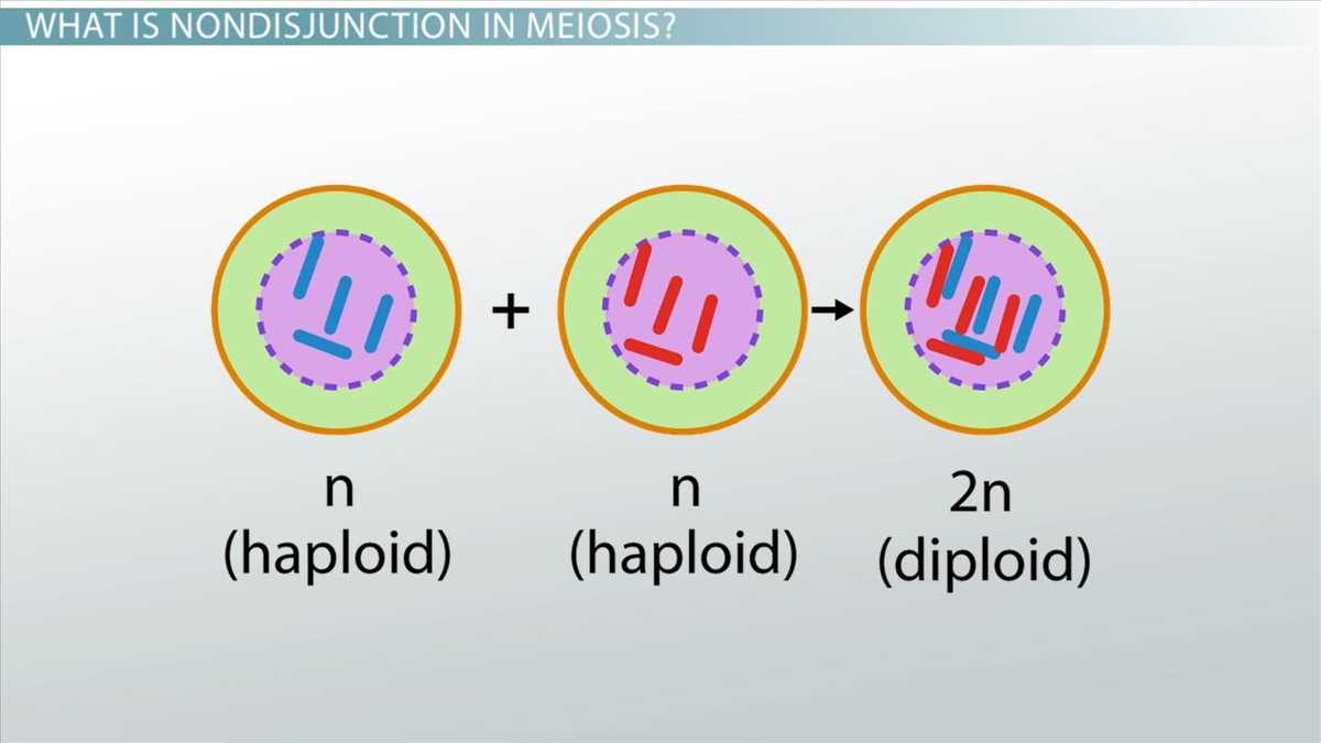 genetics puzzle biology junction answer key