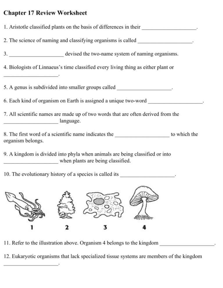 botany a blooming history worksheet answer key