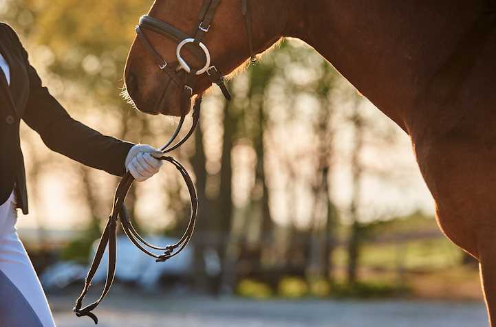 if a farmer has 3 horses answer key if a farmer has 3 horses answer key