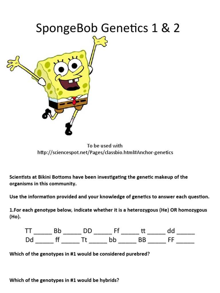 spongebob genetics worksheet 3 answer key spongebob genetics worksheet 3 answer key