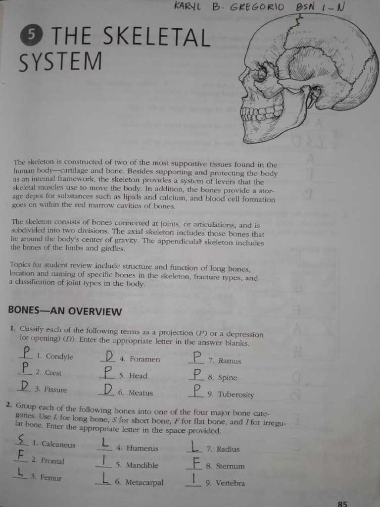 anatomy and physiology coloring workbook answer key