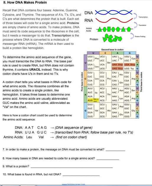 dna messages 1 30 answer key