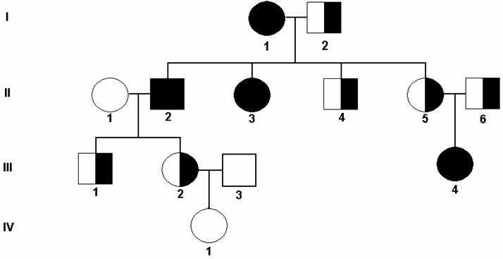 genetics unit test answer key