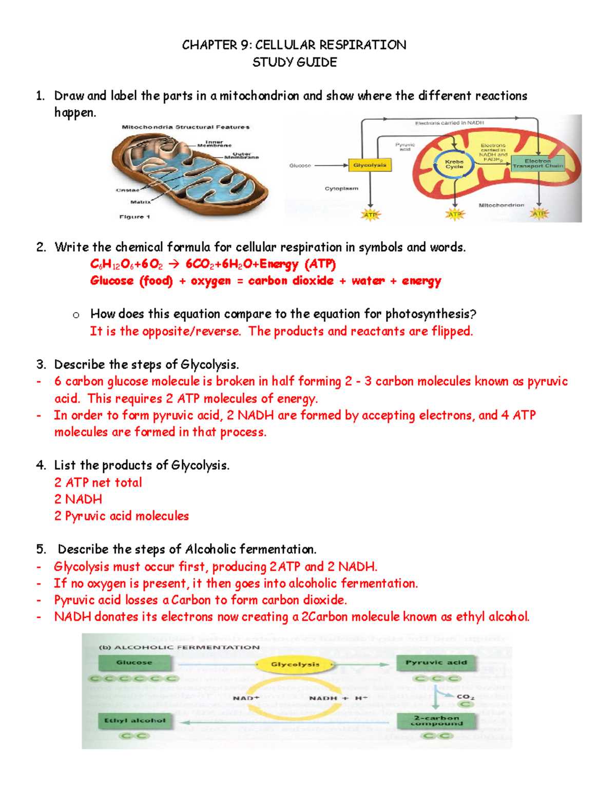 section 7 2 review aerobic respiration answer key
