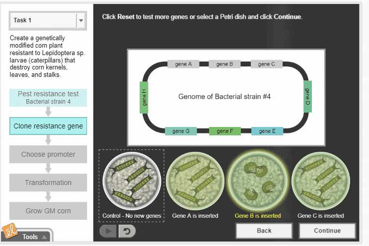 genetic engineering gizmos answer key