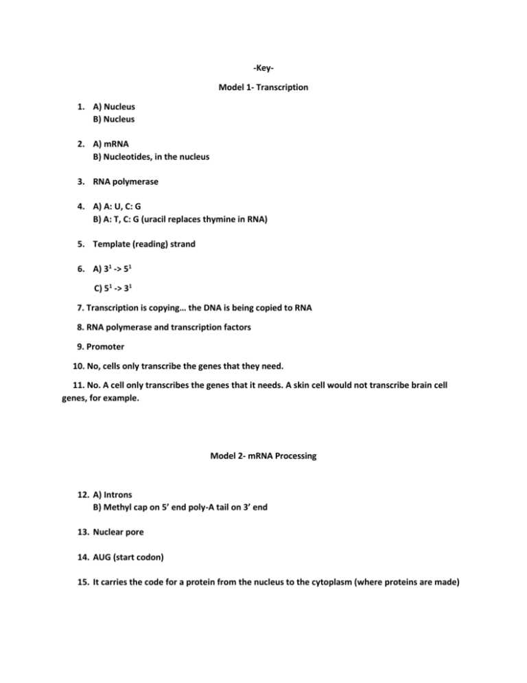 biochemistry basics pogil extension questions answer key