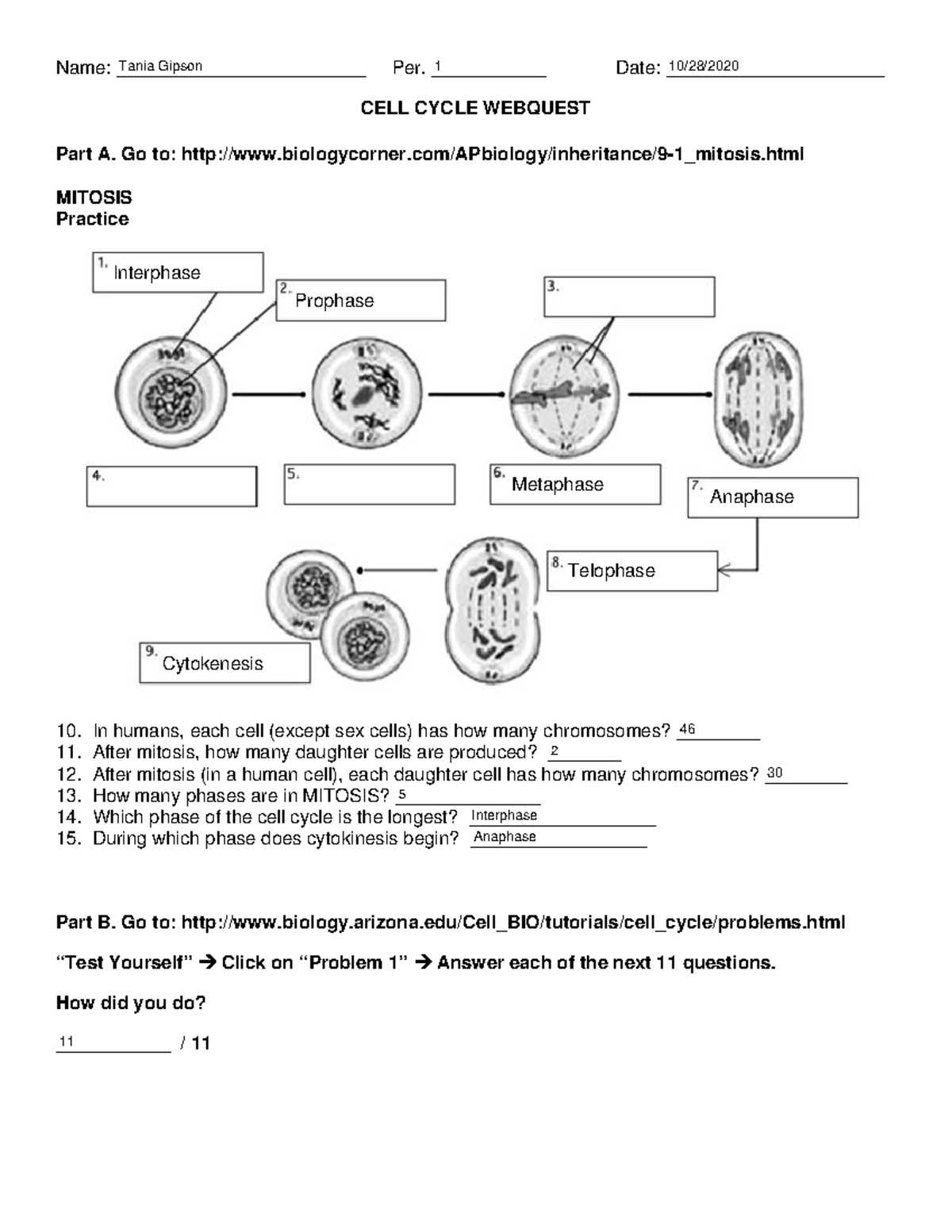 moles gizmo answer key