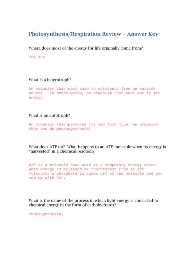 respiration review answer key