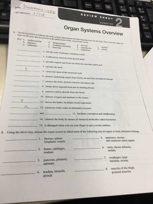 review sheet organ systems overview answer key