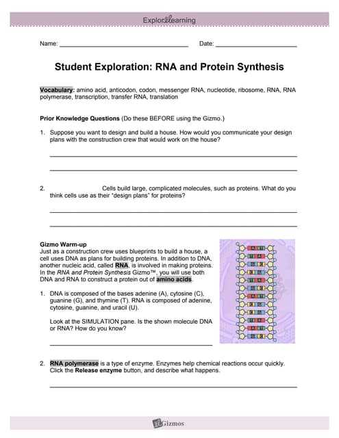 build a molecule simulation answer key