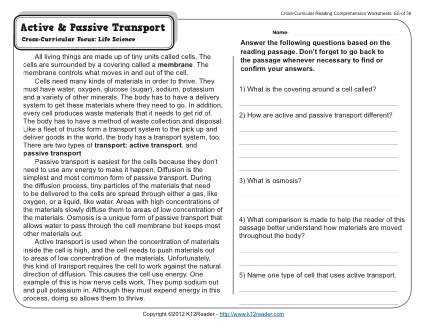 cell transport reading and questions answer key