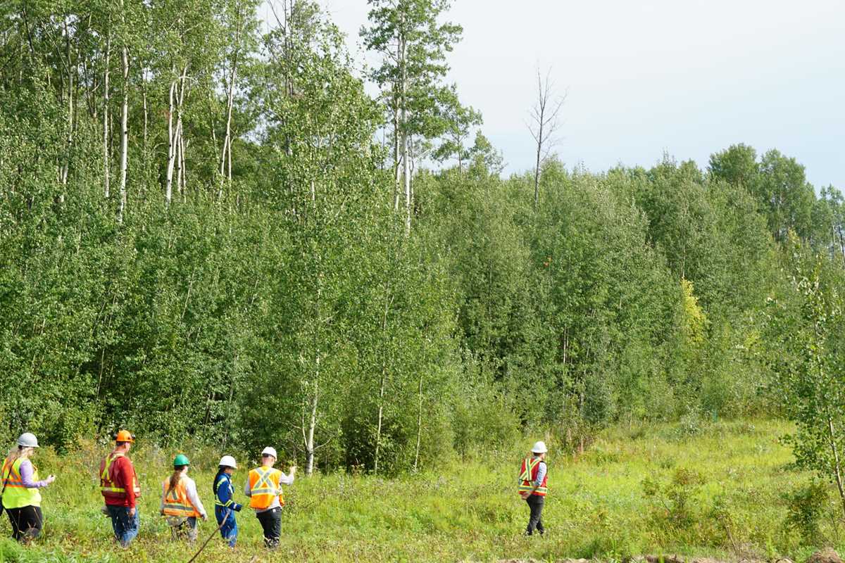 practice population ecology answers key its not rocket science