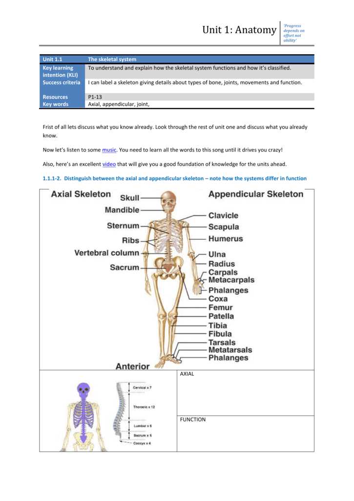 chapter 5 the skeletal system review answer key chapter 5 the skeletal system review answer key