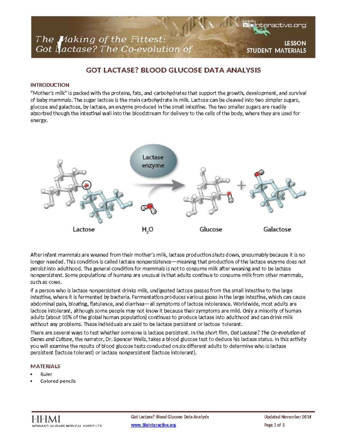 blood glucose data analysis answer key