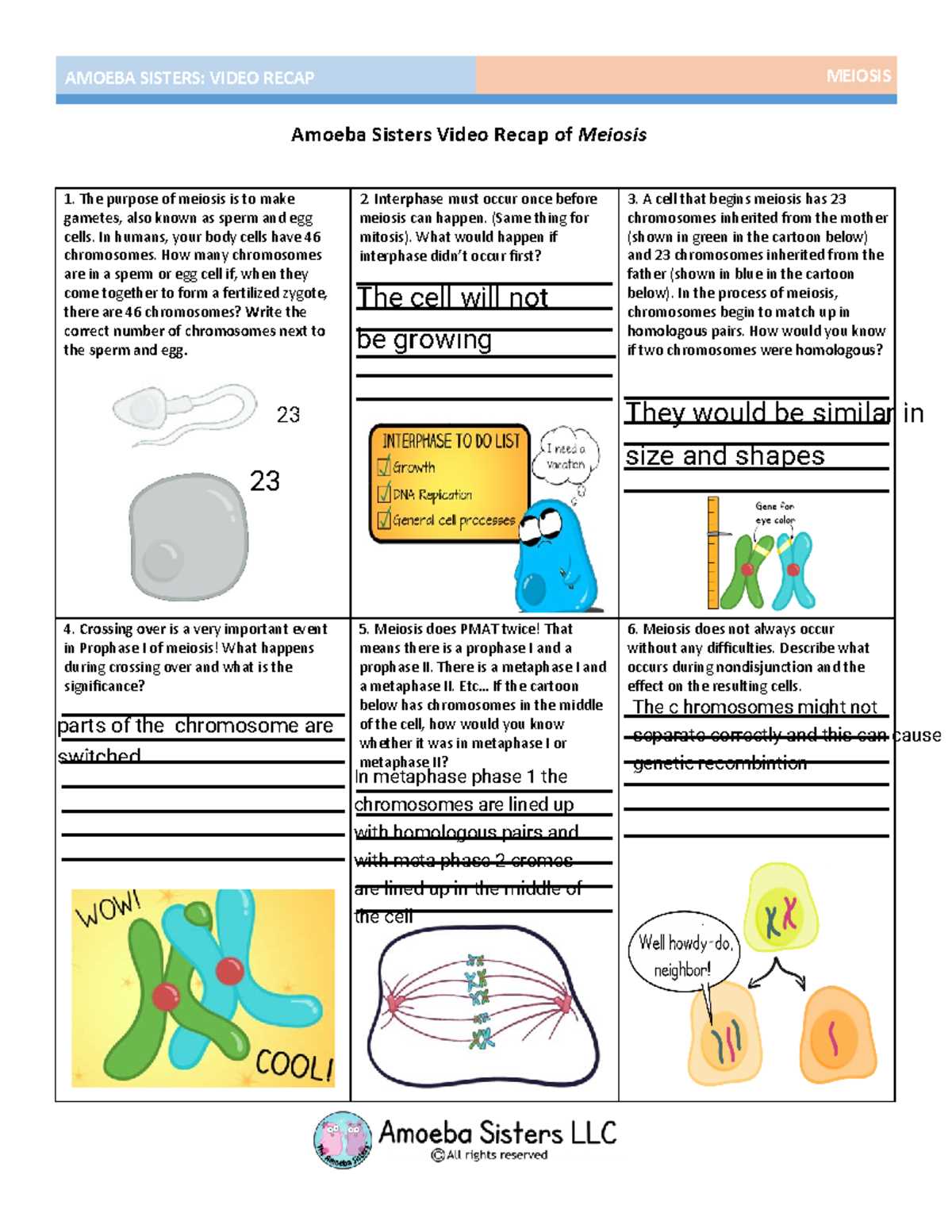 meiosis guided reading answer key