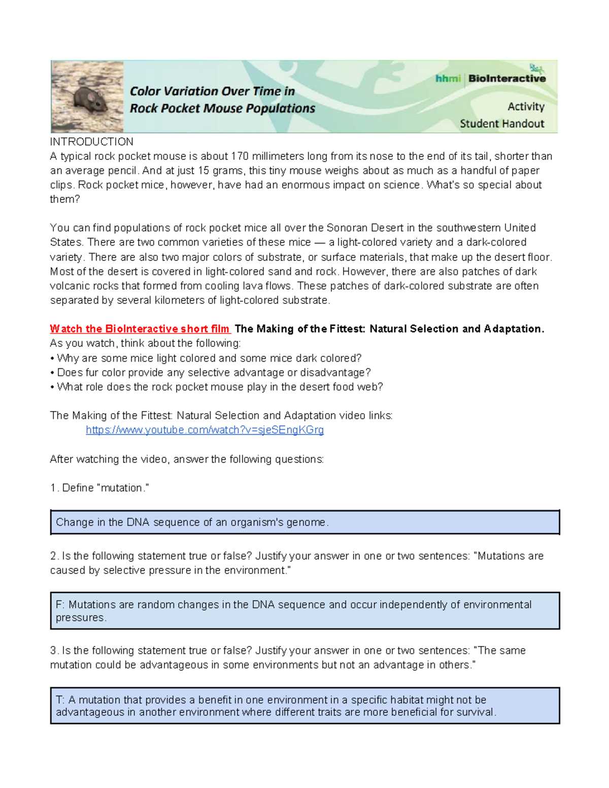 rock pocket mouse answer key