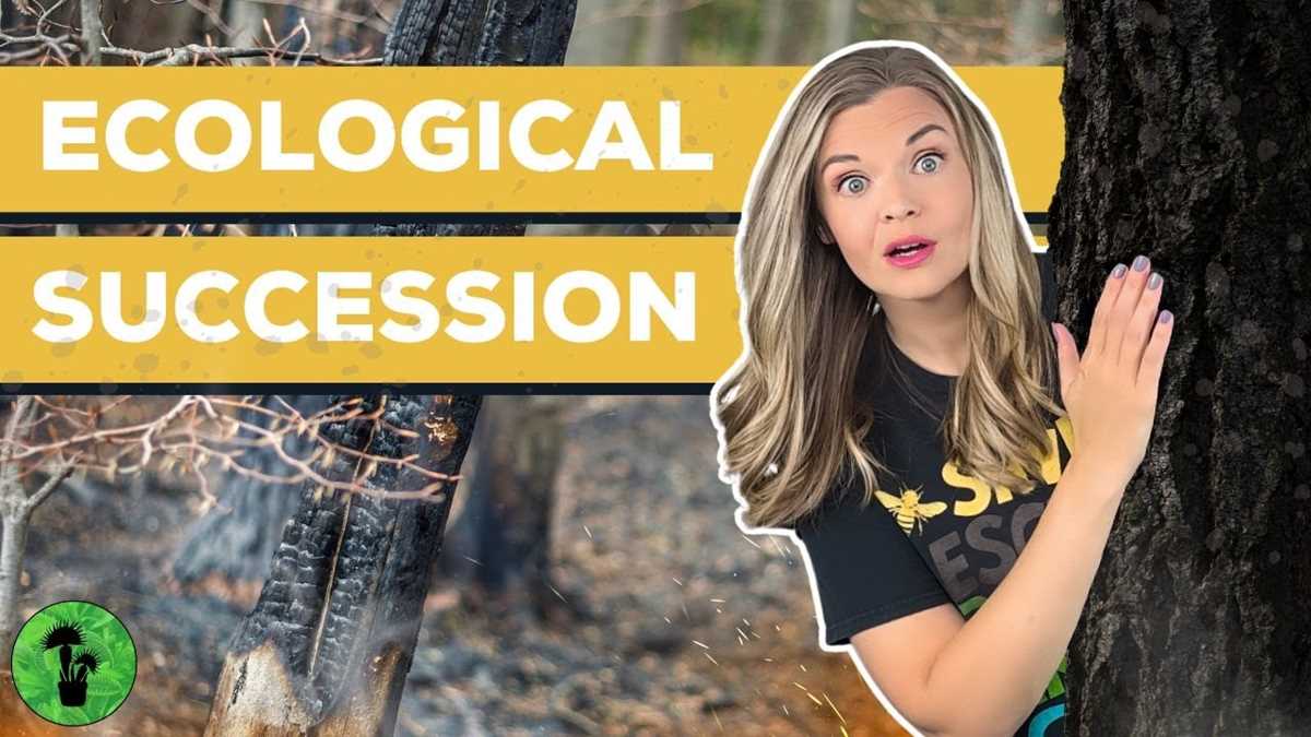 section 14.5 ecological succession study guide answer key