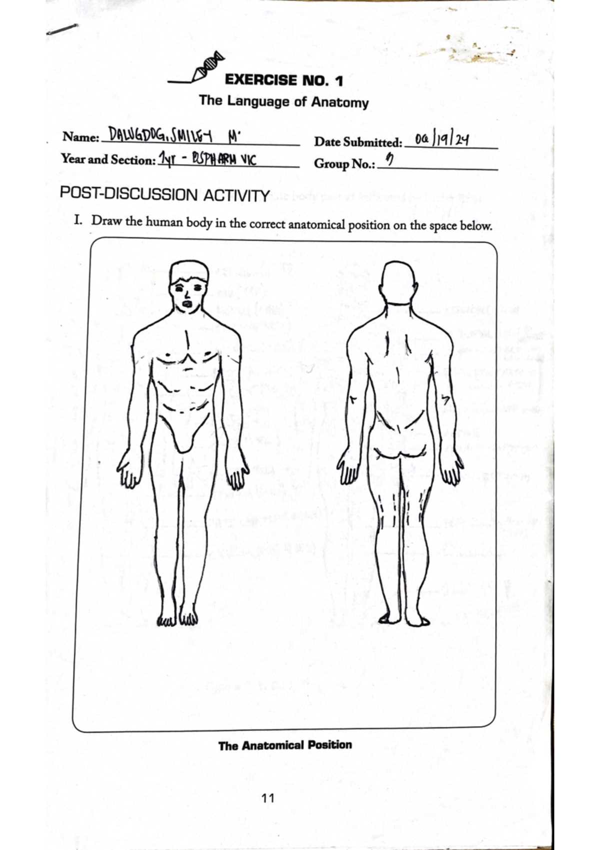 exercise 1 anatomical language answer key