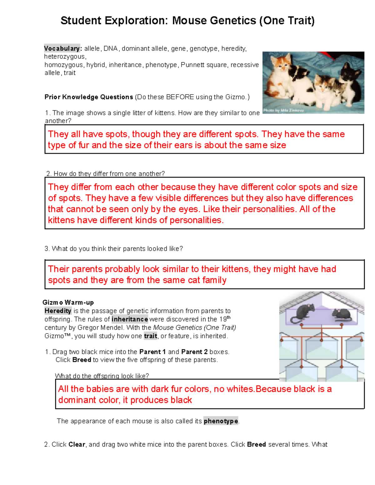 dont hate on the trait by birdbrain science answer key
