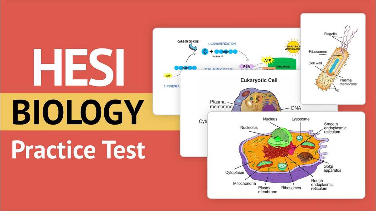 biology e m subject test practice 2026 answer key