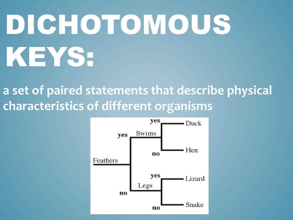 salamander dichotomous answer key salamander dichotomous answer key