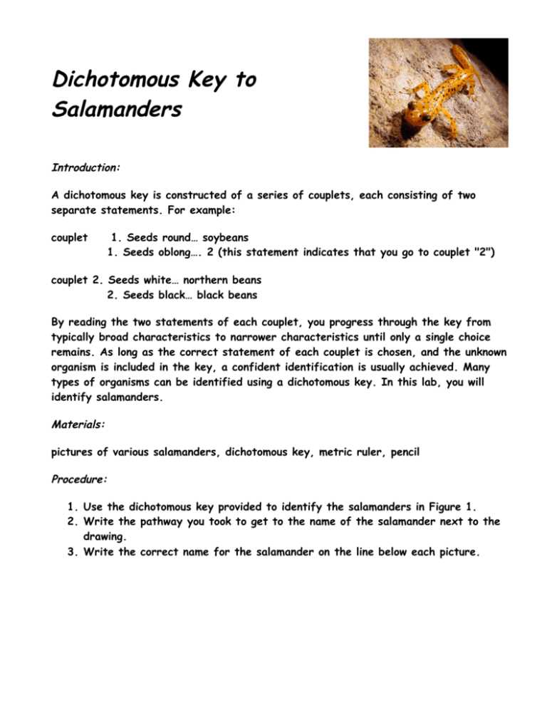 salamander dichotomous answer key salamander dichotomous answer key