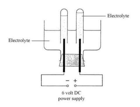 science explorer physical science 6 3 answer key
