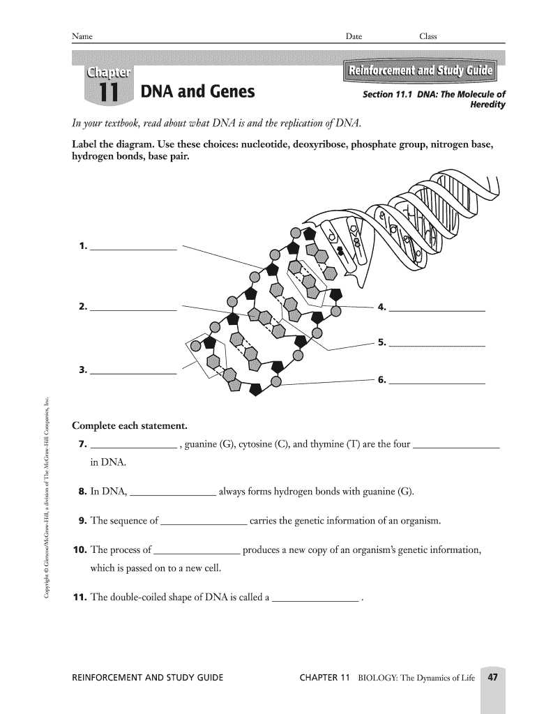 section 1 dna the genetic material study guide answer key