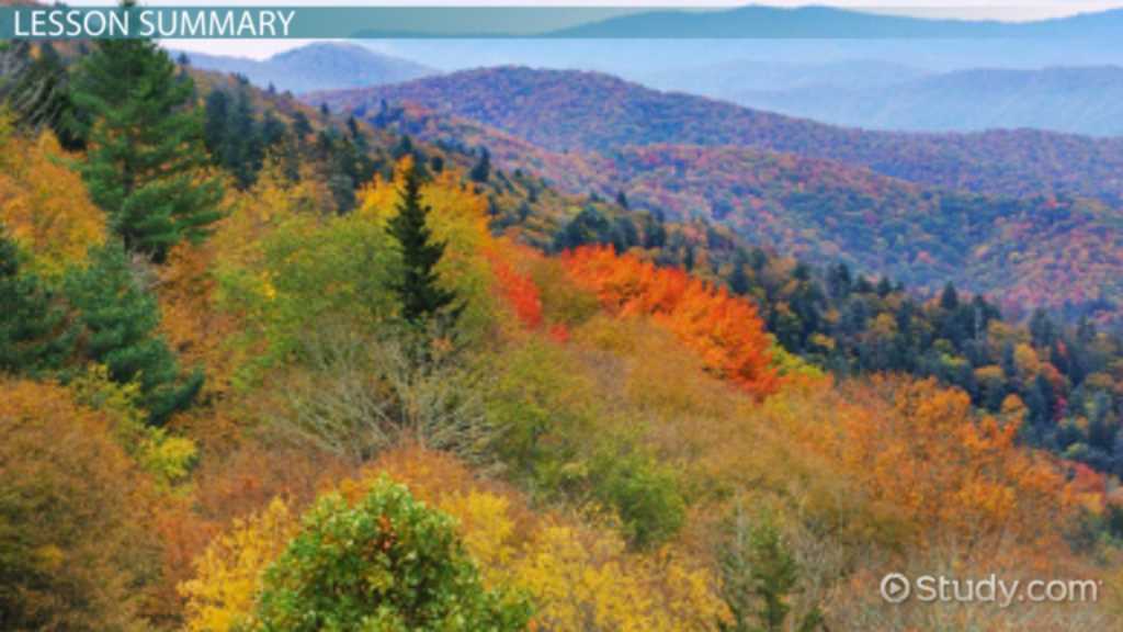 section 14.5 ecological succession study guide answer key