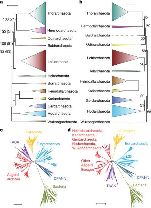 section 18 2 review modern phylogenetic taxonomy answer key