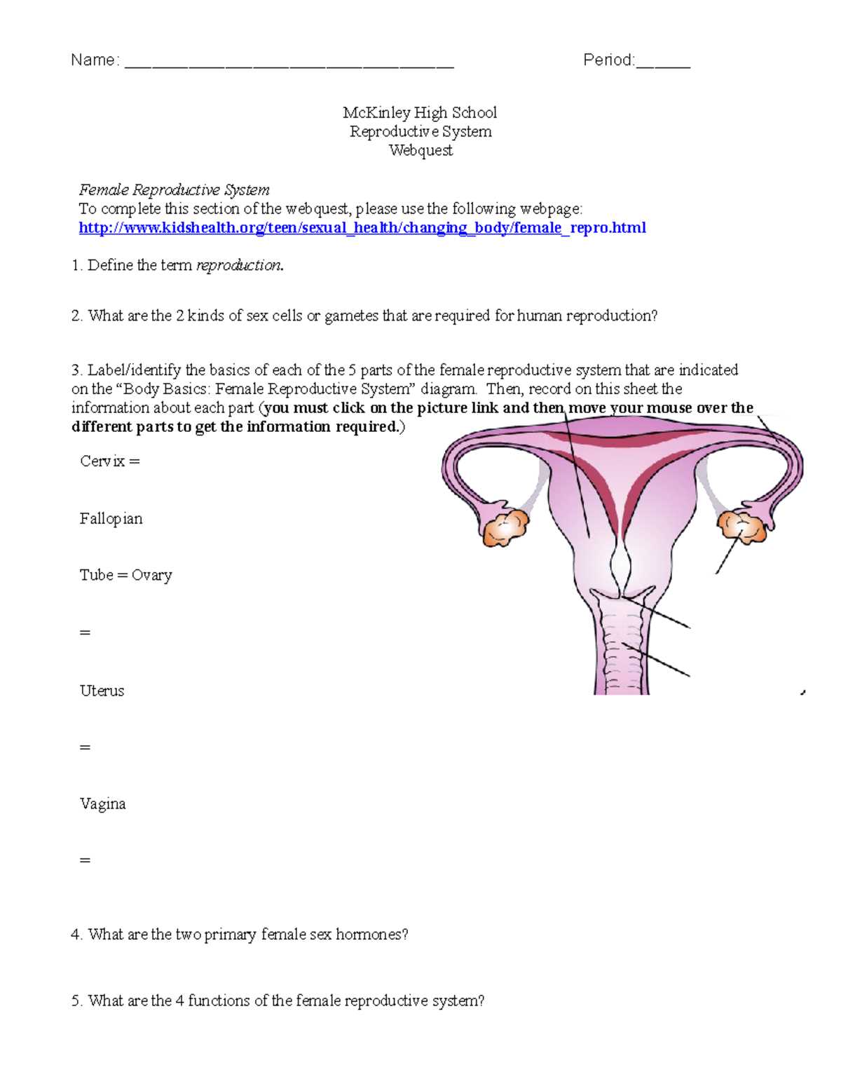 section 34.1 reproductive anatomy study guide answer key