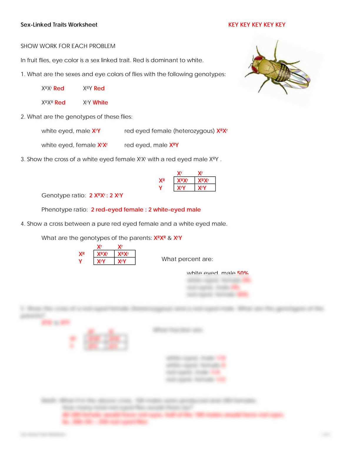 sex linked traits worksheet colorblind answer key
