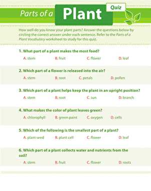 3rd grade science worksheets with answers key multiple choice 3rd grade science worksheets with answers key multiple choice