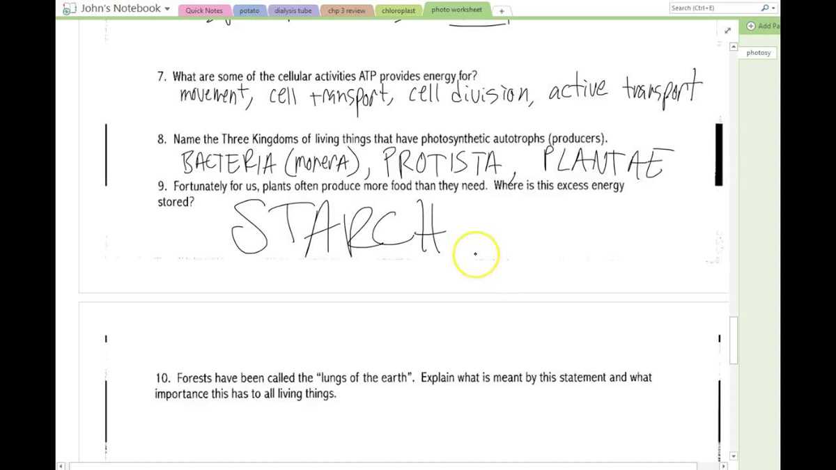 crash course biology video photosynthesis answers key