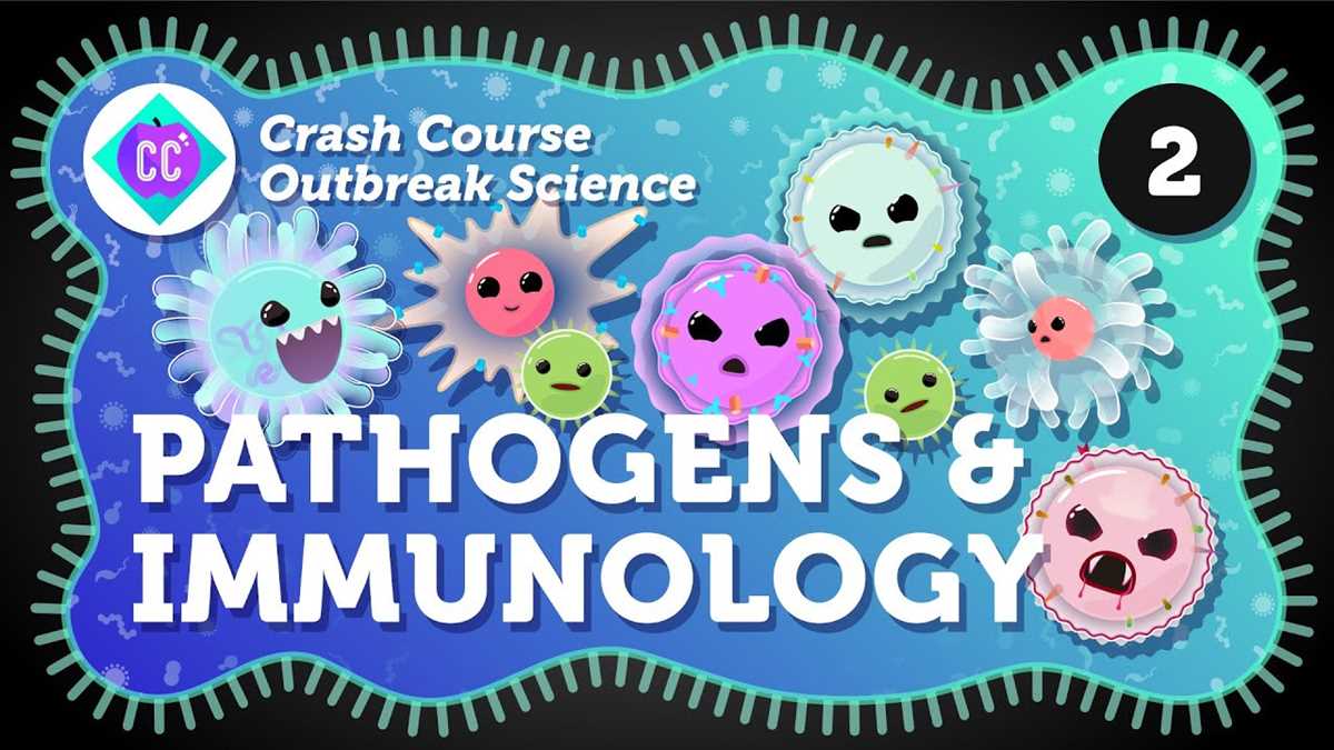 killer flu video questions answer key killer flu video questions answer key