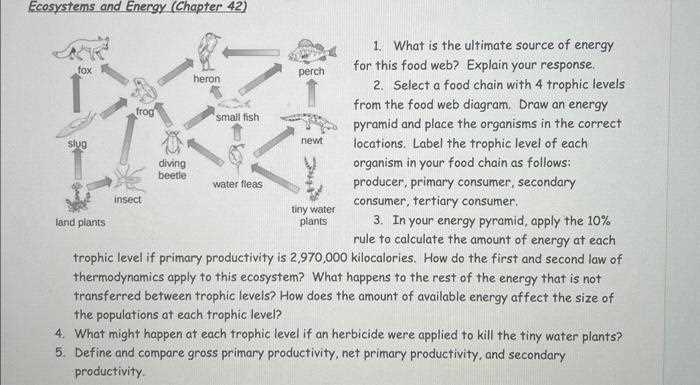 case study eating at a different trophic level answer key