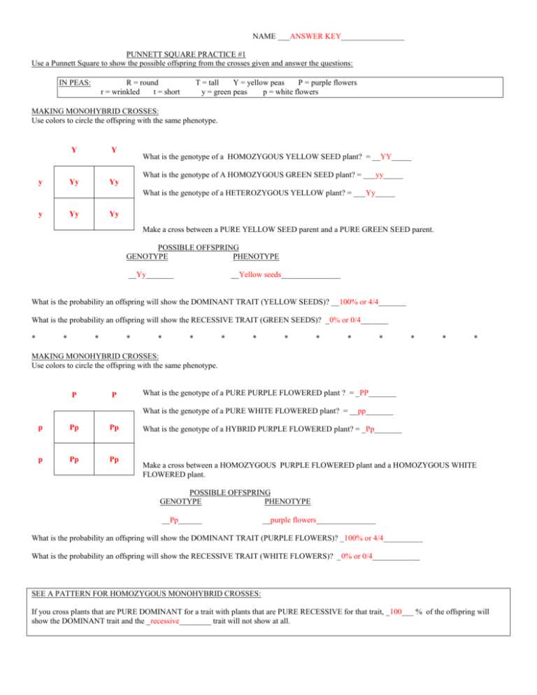spongebob genetics worksheet 3 answer key spongebob genetics worksheet 3 answer key