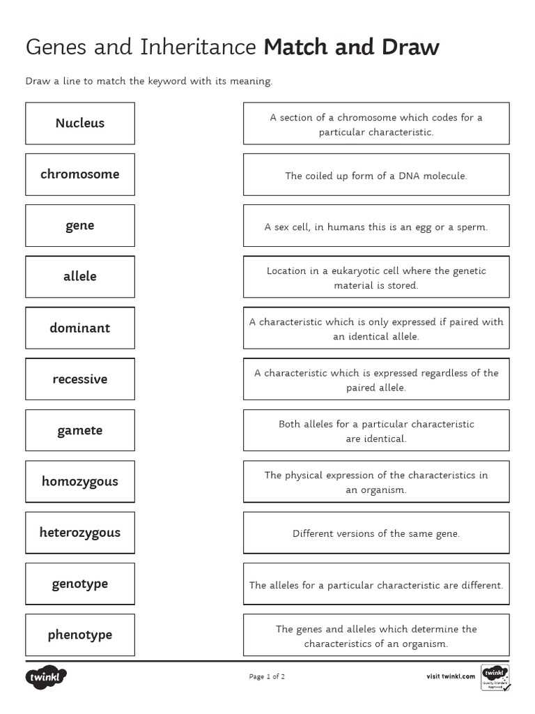 7.1 chromosomes and phenotype study guide b answer key 7.1 chromosomes and phenotype study guide b answer key