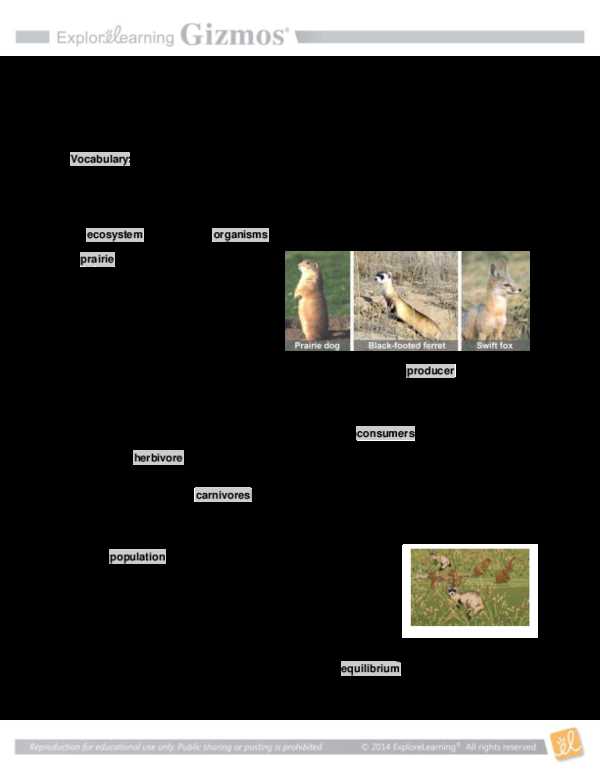 student exploration prairie ecosystem answer key student exploration prairie ecosystem answer key
