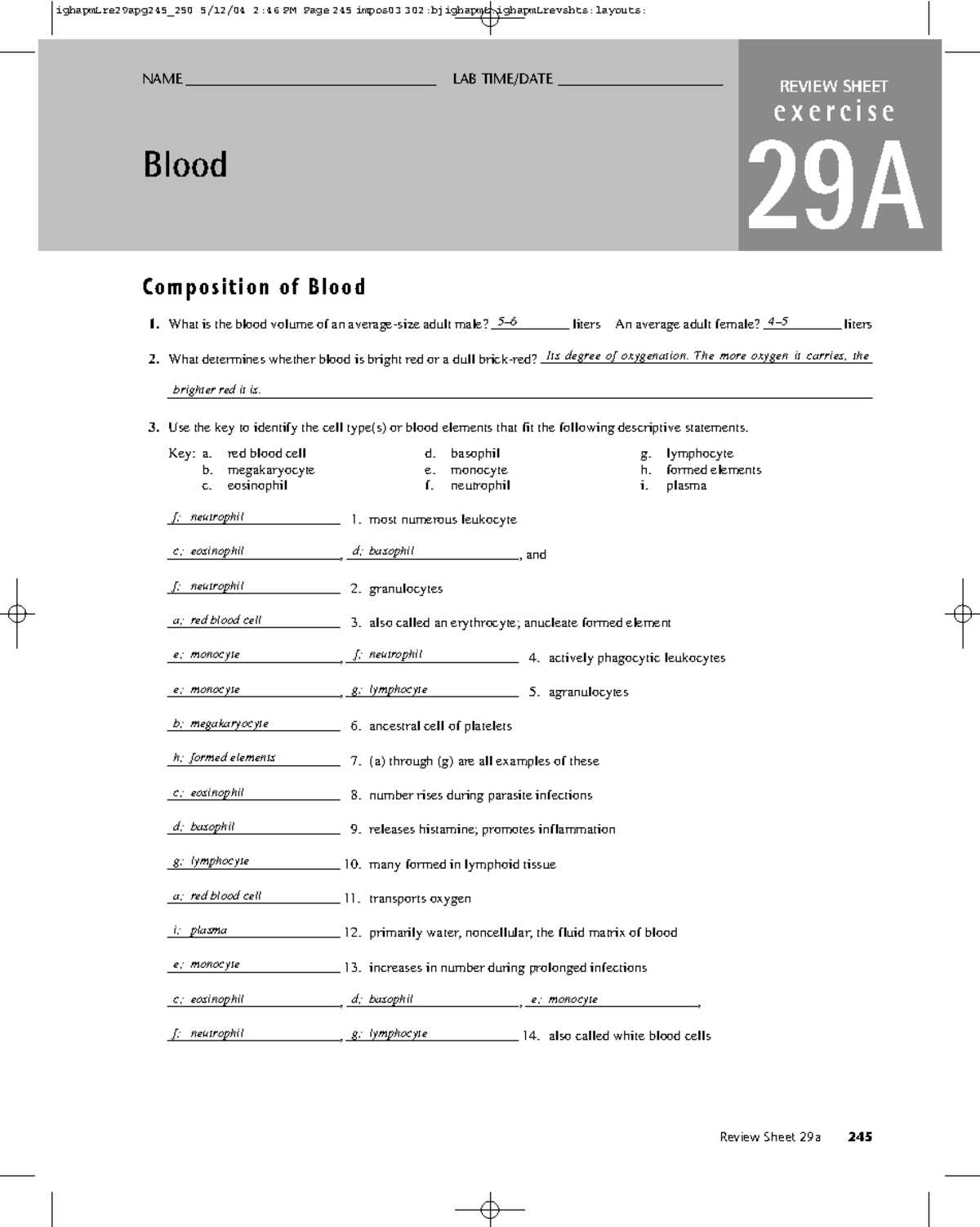 study guide blood answer key