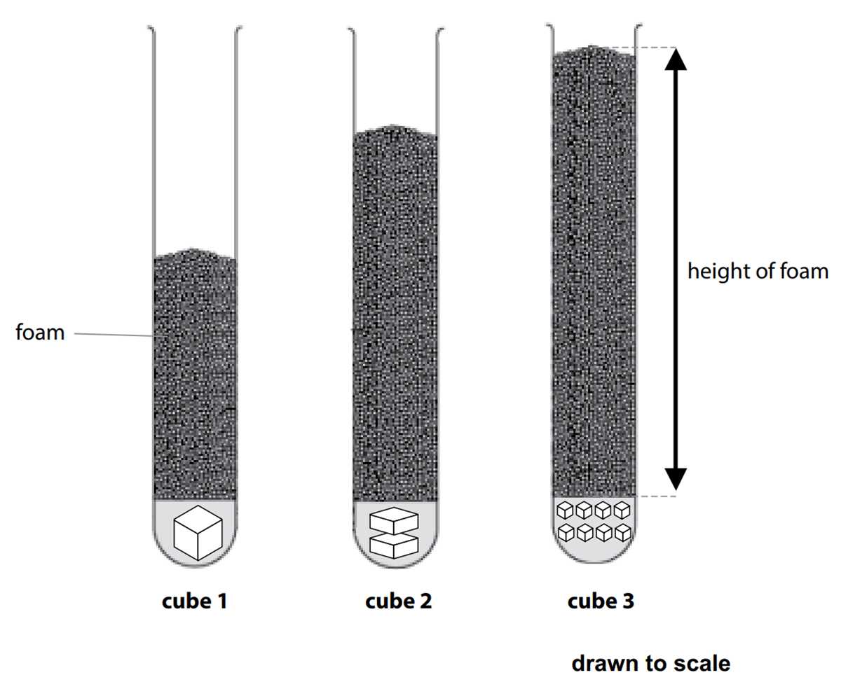 a case study catalase activity answer key